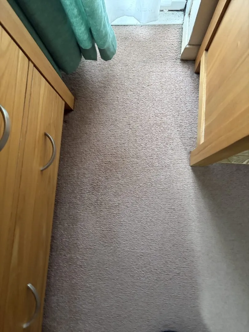 After cleaning Blood out of a carpet