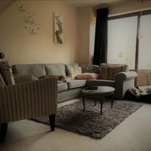 How do professionals clean Upholstery?
