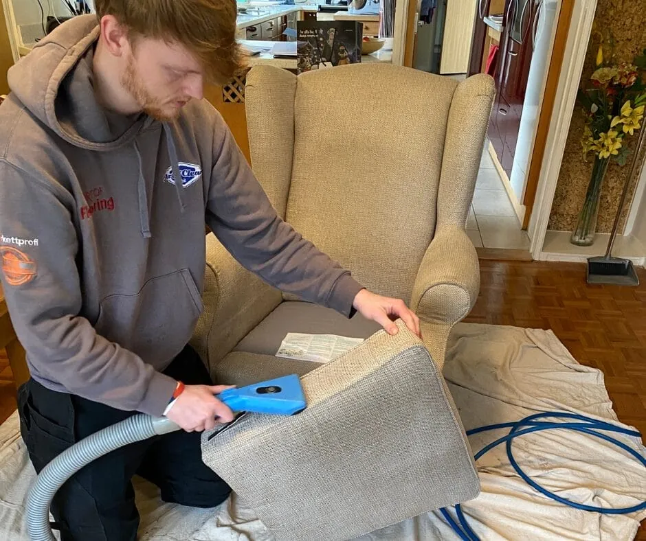 Are Professional Upholstery Cleaners Worth It?