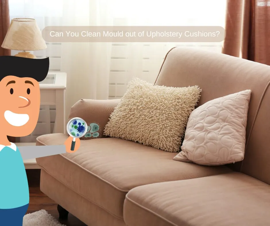 Can You Clean Mould out of Upholstery Cushions?