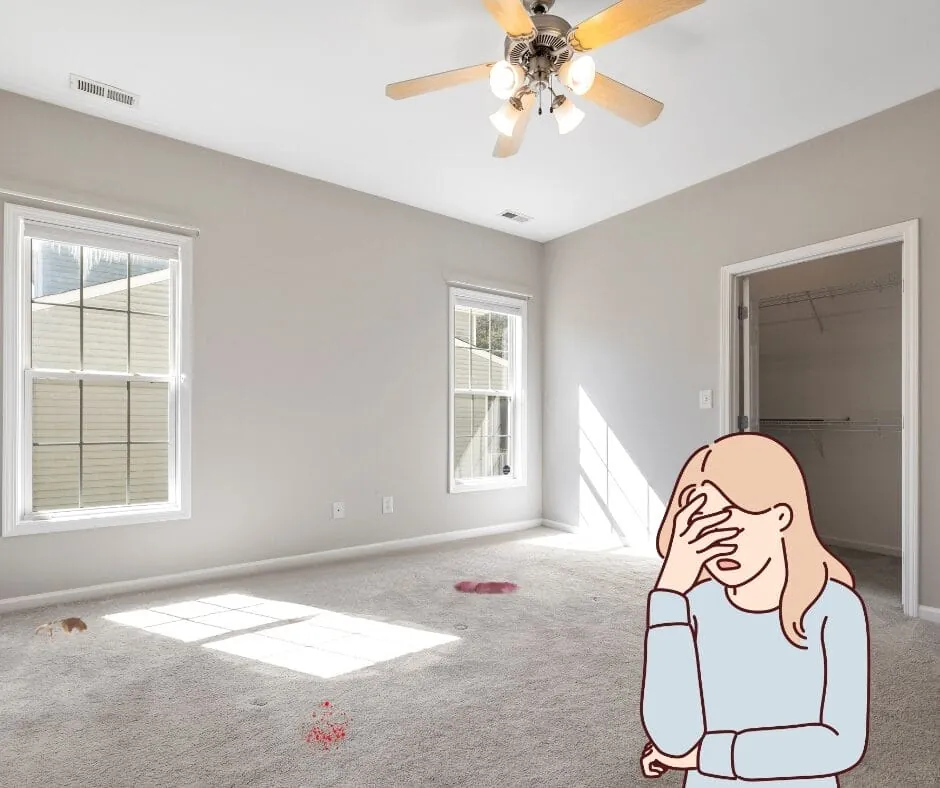 How Do You Get Stains Out of Your Carpet?