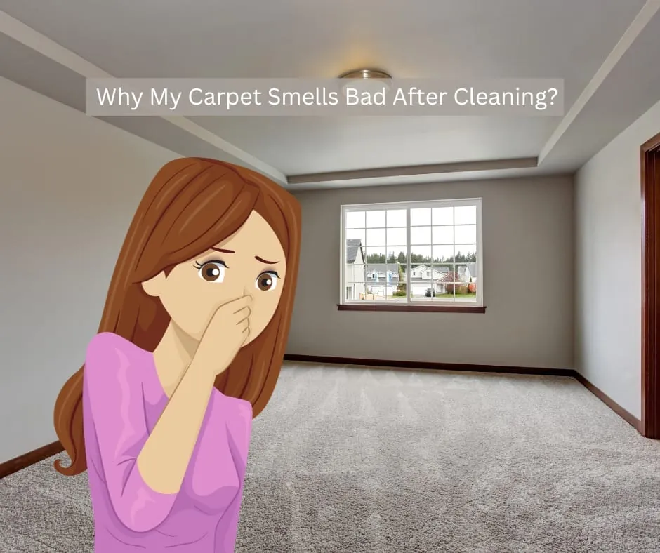 Why My Carpet Smells Bad After Cleaning?
