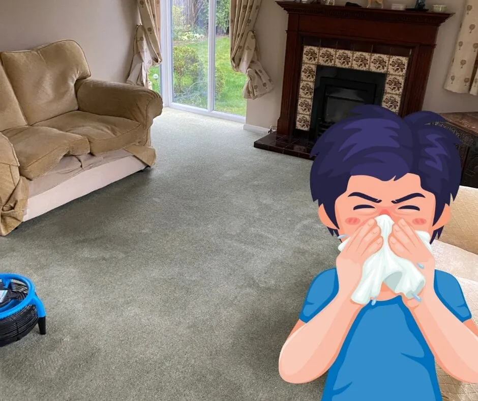 Can Carpet Cleaning Help with Asthma and Allergies?