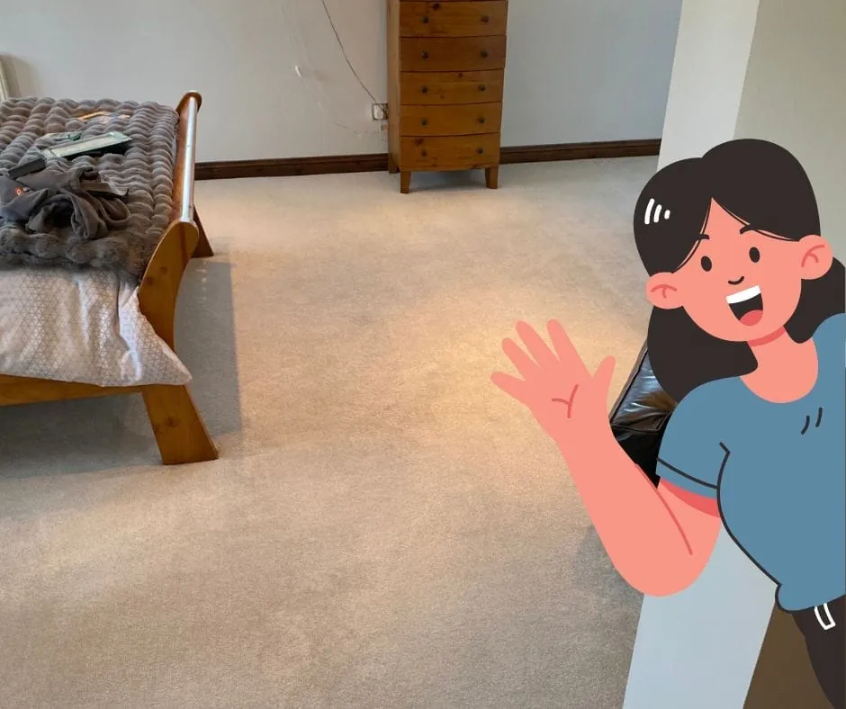 Can You Clean My Carpet After a Radiator Leak?