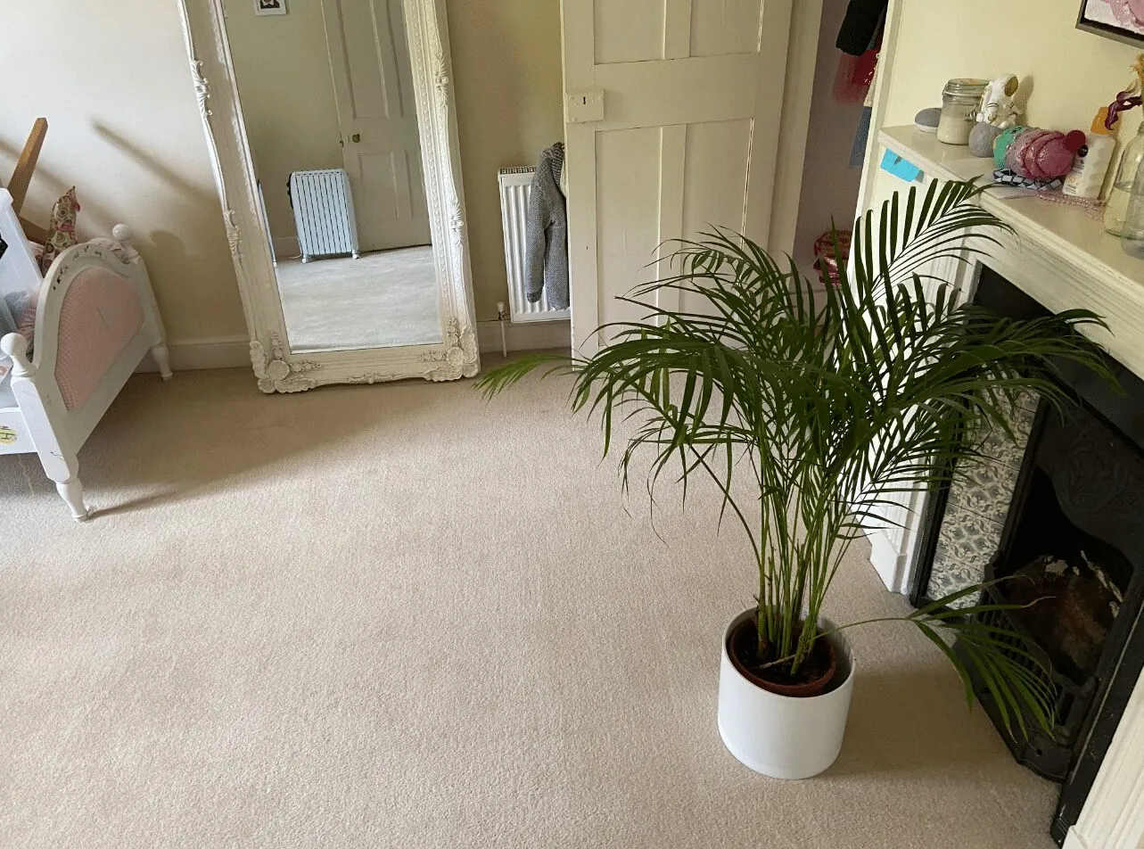 Why has my Carpet gone flat?