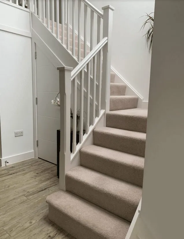 Does carpet cleaning remove pollen bacteria dust mites and outdoor pollution?
