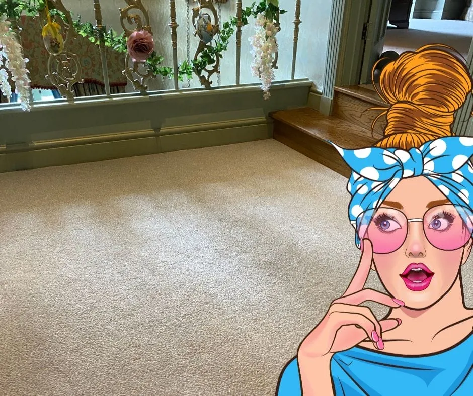 Carpet Cleaning Costs in Cambridge: Why We’re Not the Cheapest
