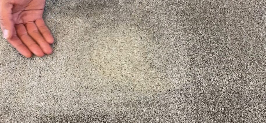 DIY stain removal on carpet and rug