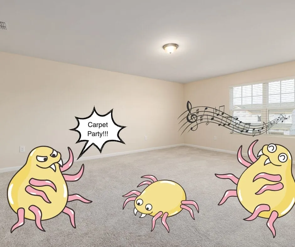 Does Professional Carpet Cleaning Kill Dust Mites?