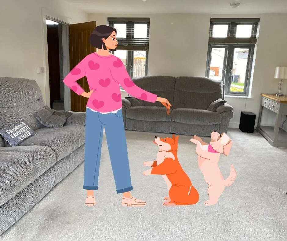 Effective Upholstery Cleaning for Pet Owners in Cambridgeshire