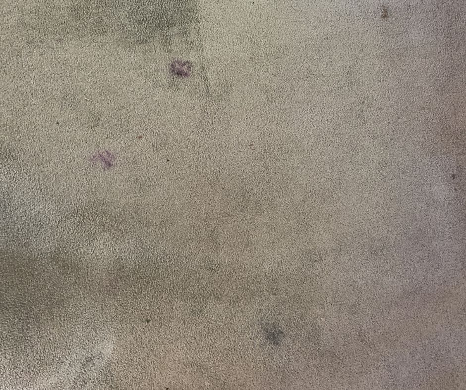 Tried and Tested: How to Get Ink Stains Out of Carpet