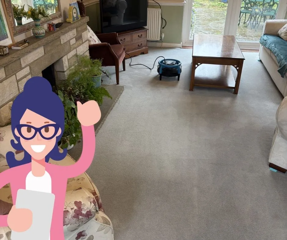 How to get soot out of carpet safely