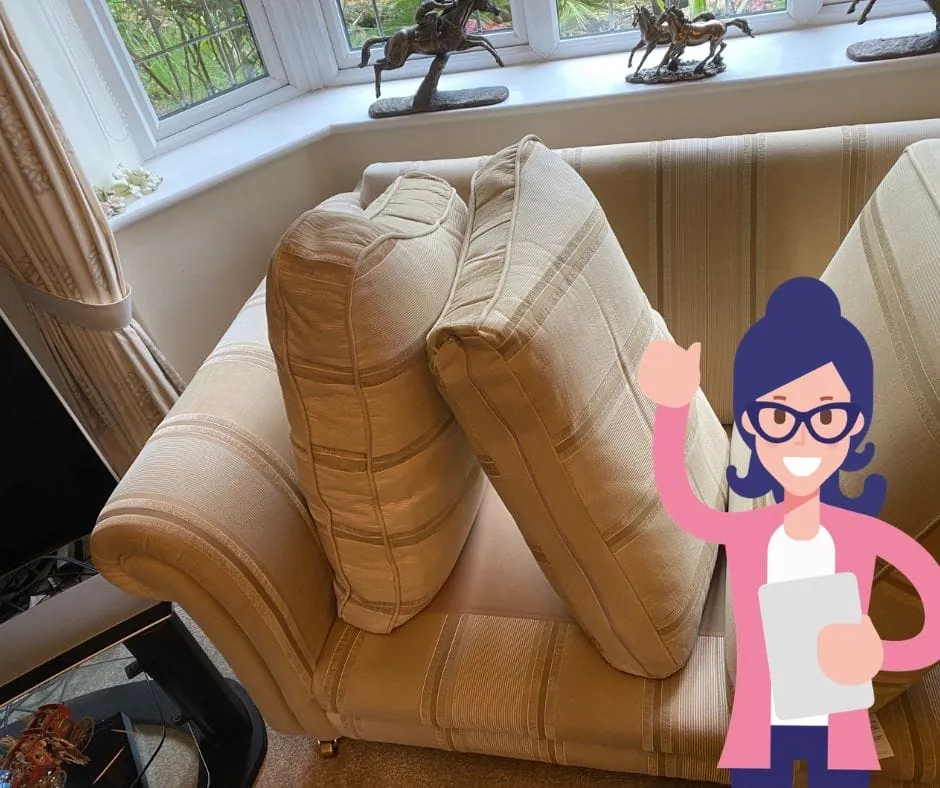 How to remove pet hair from your sofa (and keep build up down)