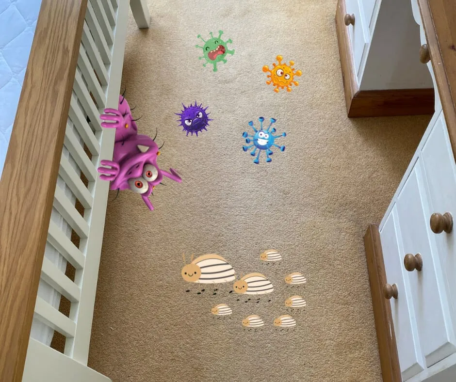 Carpet Cleaning – What is hiding in your carpet?