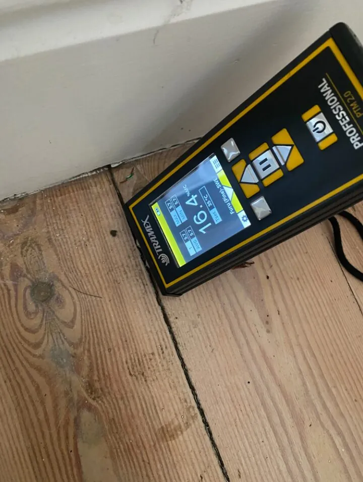 Moisture in Wood Floors