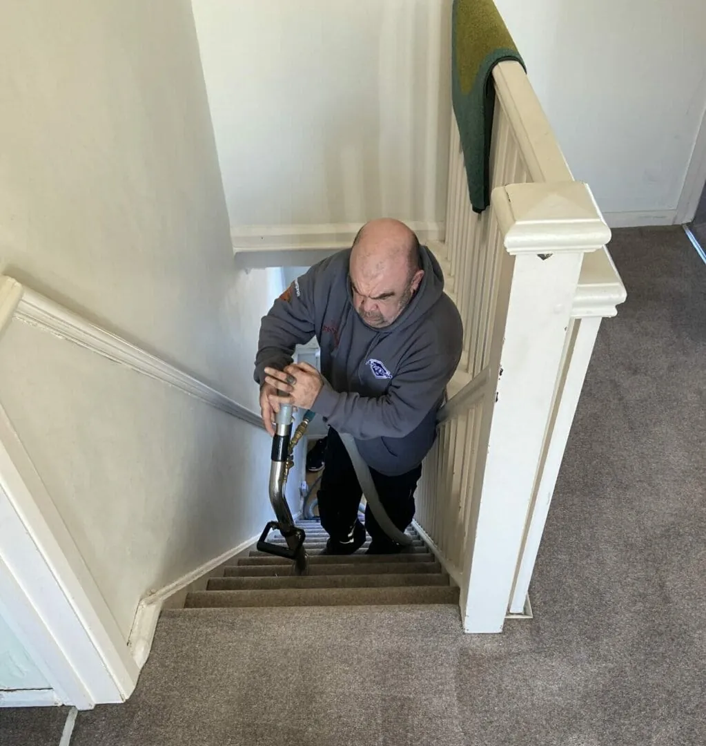 How often should I clean my carpet?
