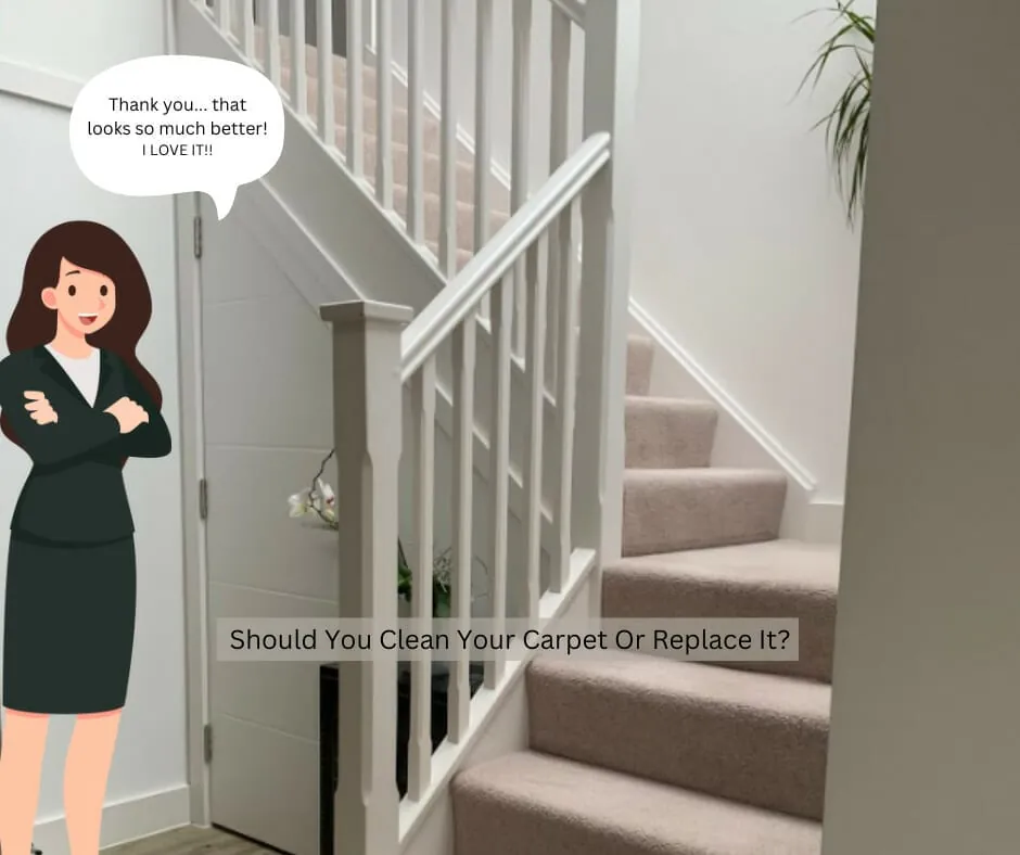 Should You Clean Your Carpet Or Replace It?