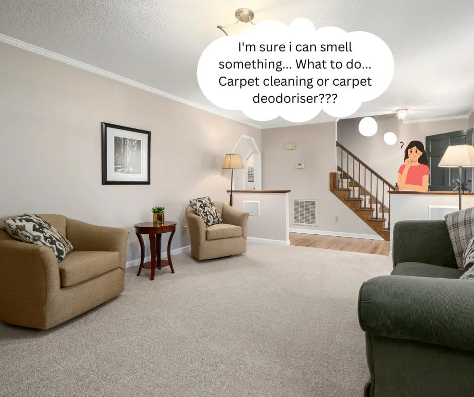 Should You Clean Your Carpet or Use a Carpet Deodoriser?