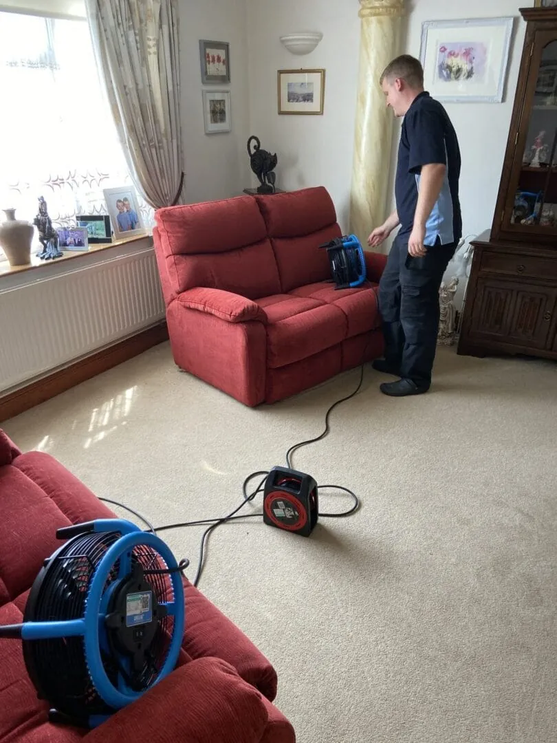 Help your sofa live longer
