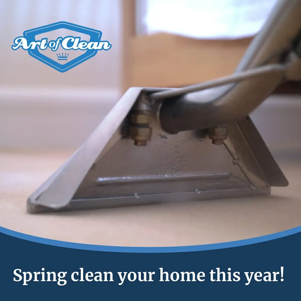 Spring clean your home this year!