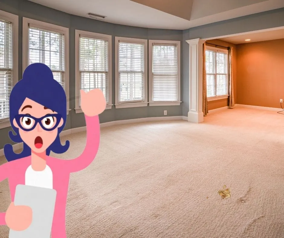 How to Remove Coffee Stains from Carpet: Expert Step-by-Step Guide