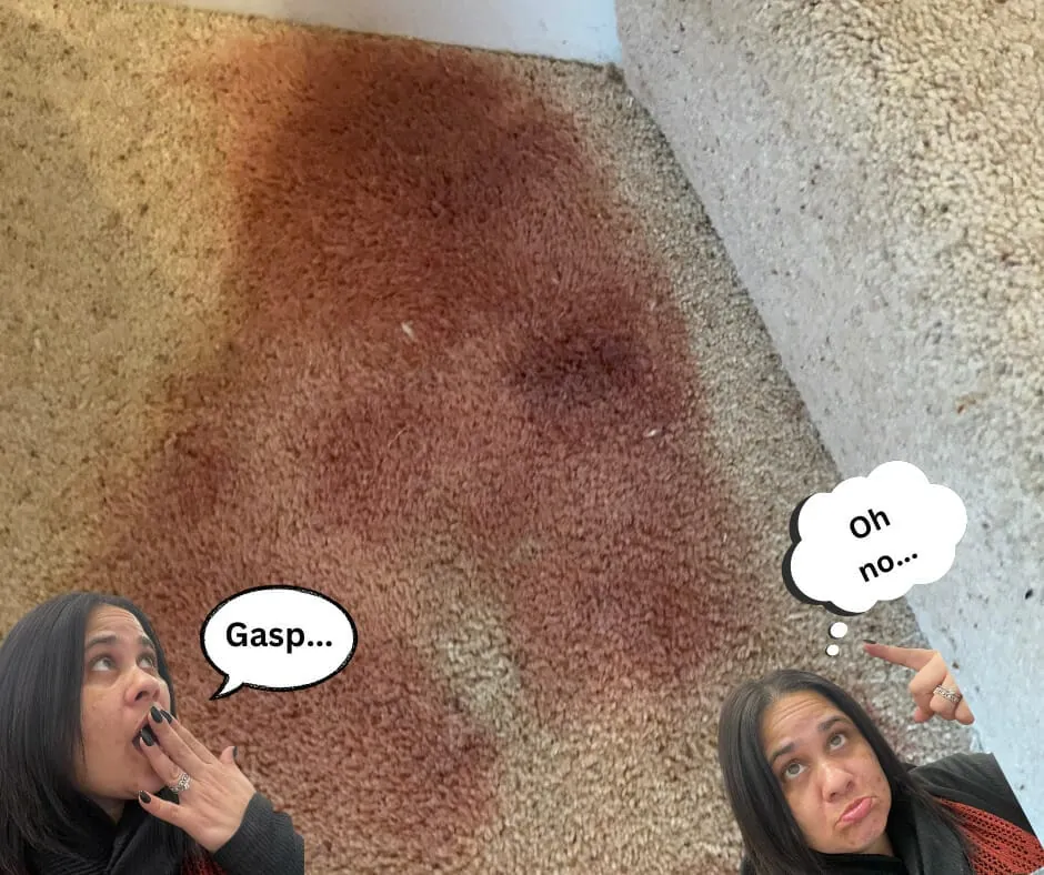 Can you get blood out of your carpet?