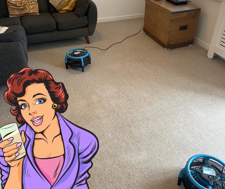 Why Your Carpet Smells Damp After a Water Leak but Feels Dry