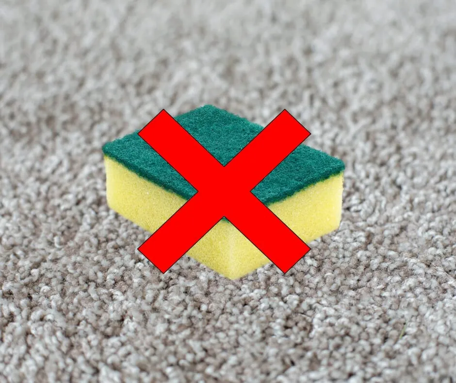 Why not to use the green part of a sponge on your carpet.