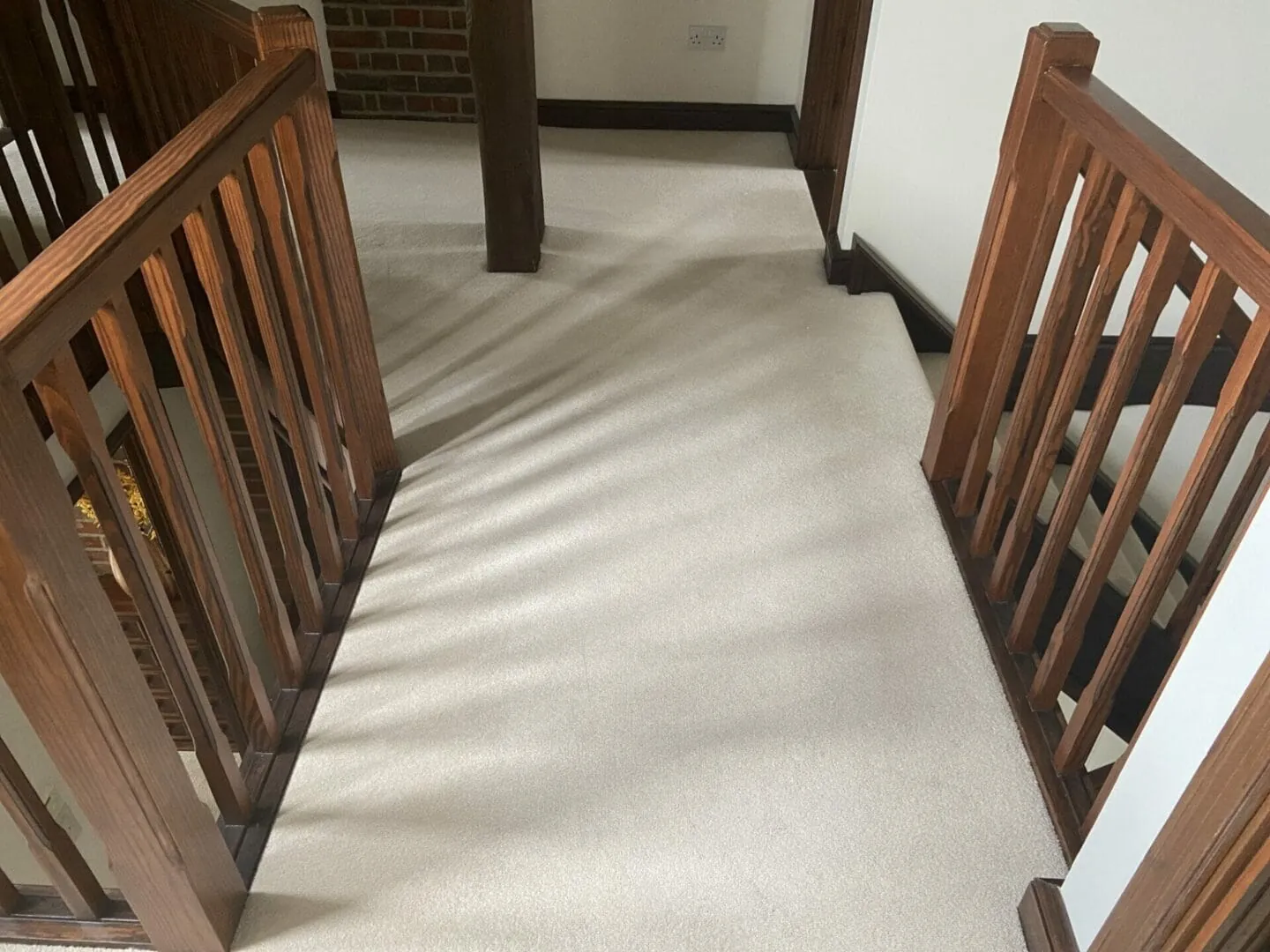 What does professional carpet cleaning cost and include?