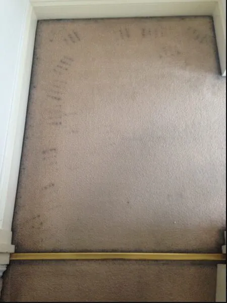 I have Black marks around the edge of my carpet.