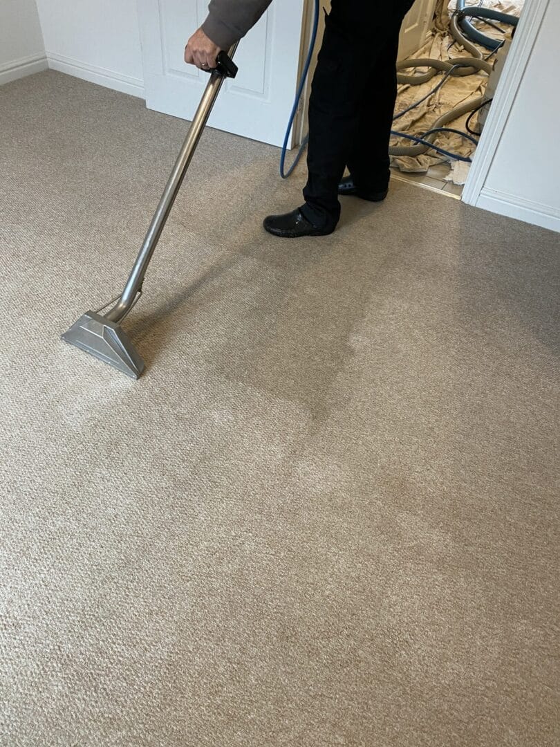 What are your Rugs and Carpets hiding from you?