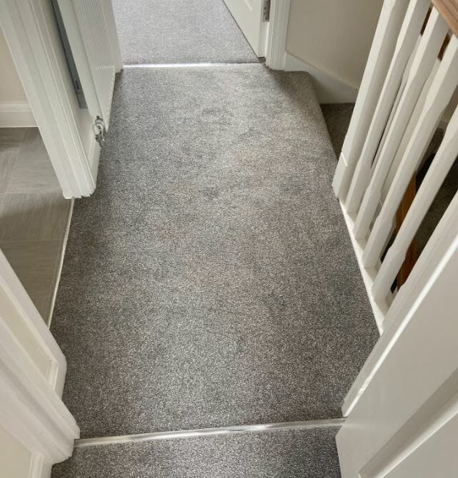 Carpet Cleaning: Is Your Carpet Killing You?