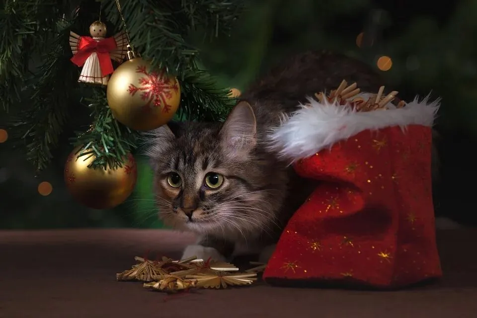 Deck the Floors with Christmas chaos, some simple tips to protect your home