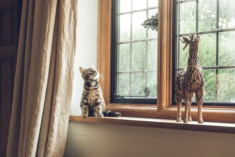 What are the different types of Curtains, and can they be cleaned?
