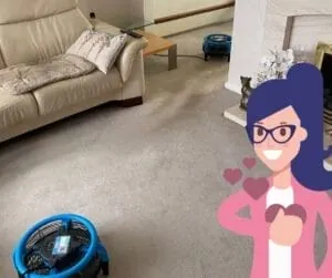 How do you get oil stains out of your carpet: complete cleaning guide