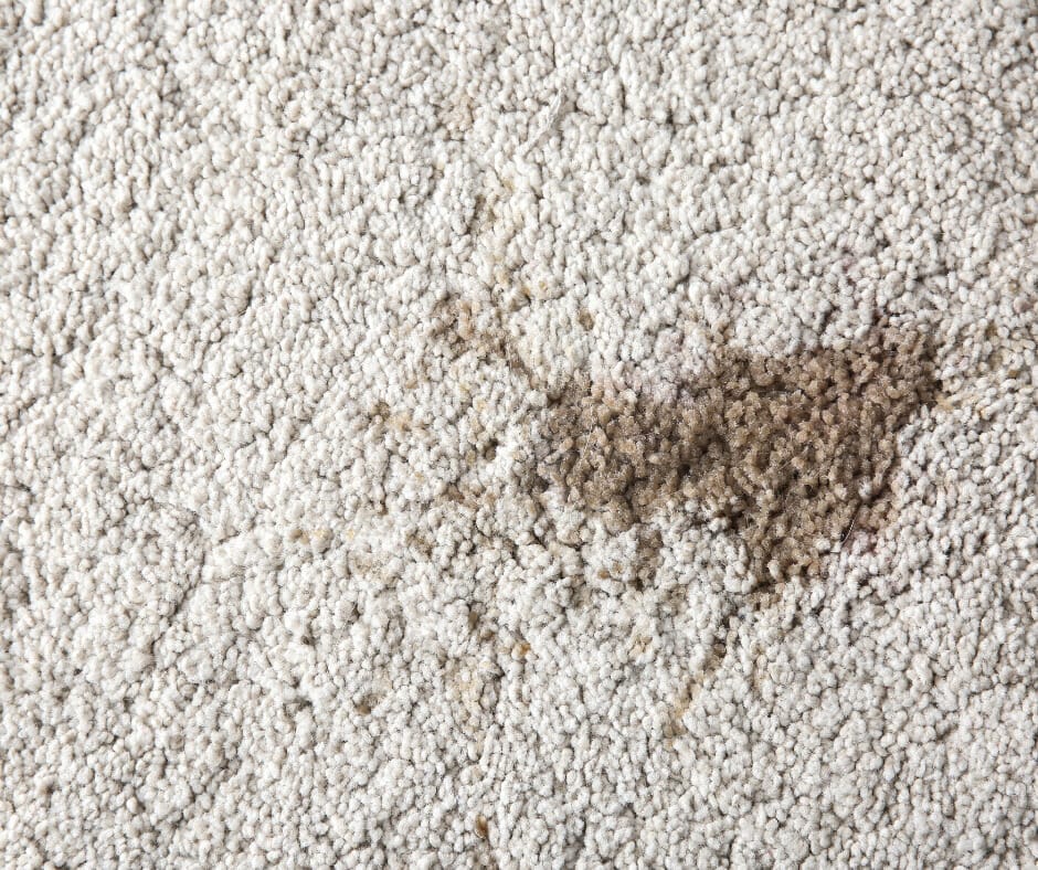 How to get cooking oil out of your carpet
