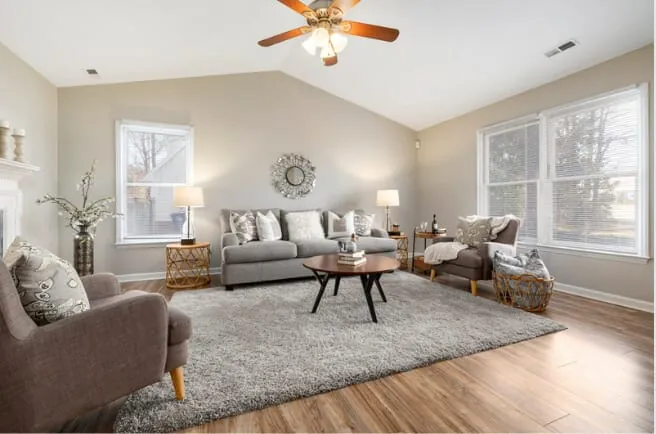 Can I get my rug cleaned professionally?