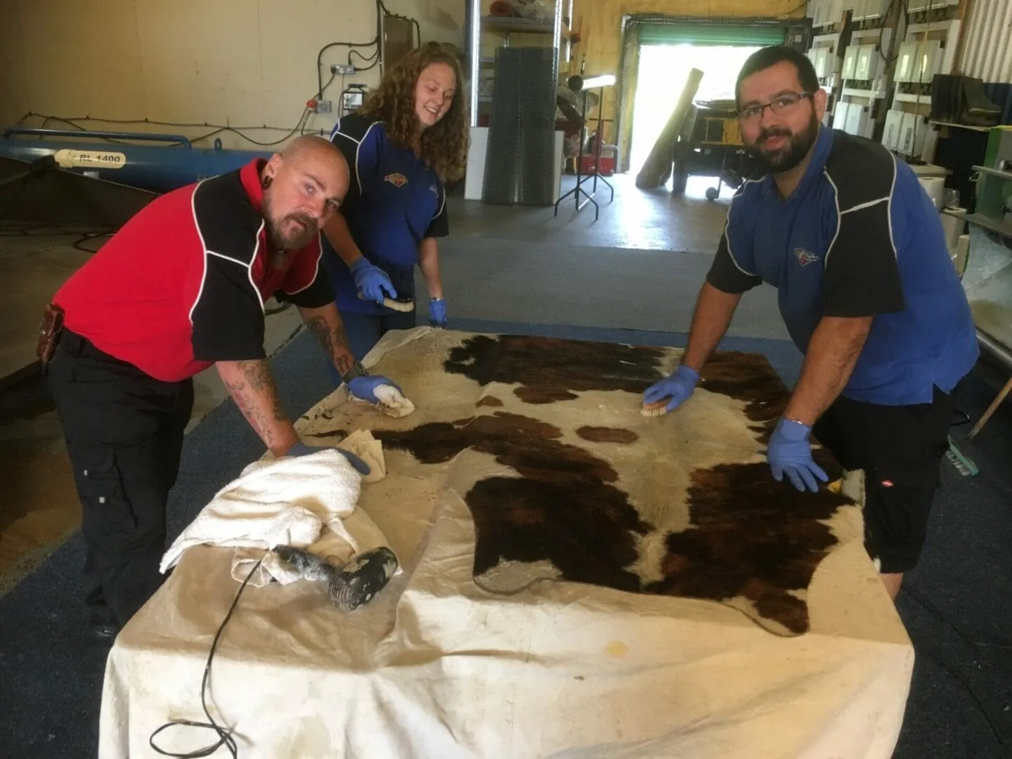 Rug Cleaning Training at Art of Clean in Cambridge