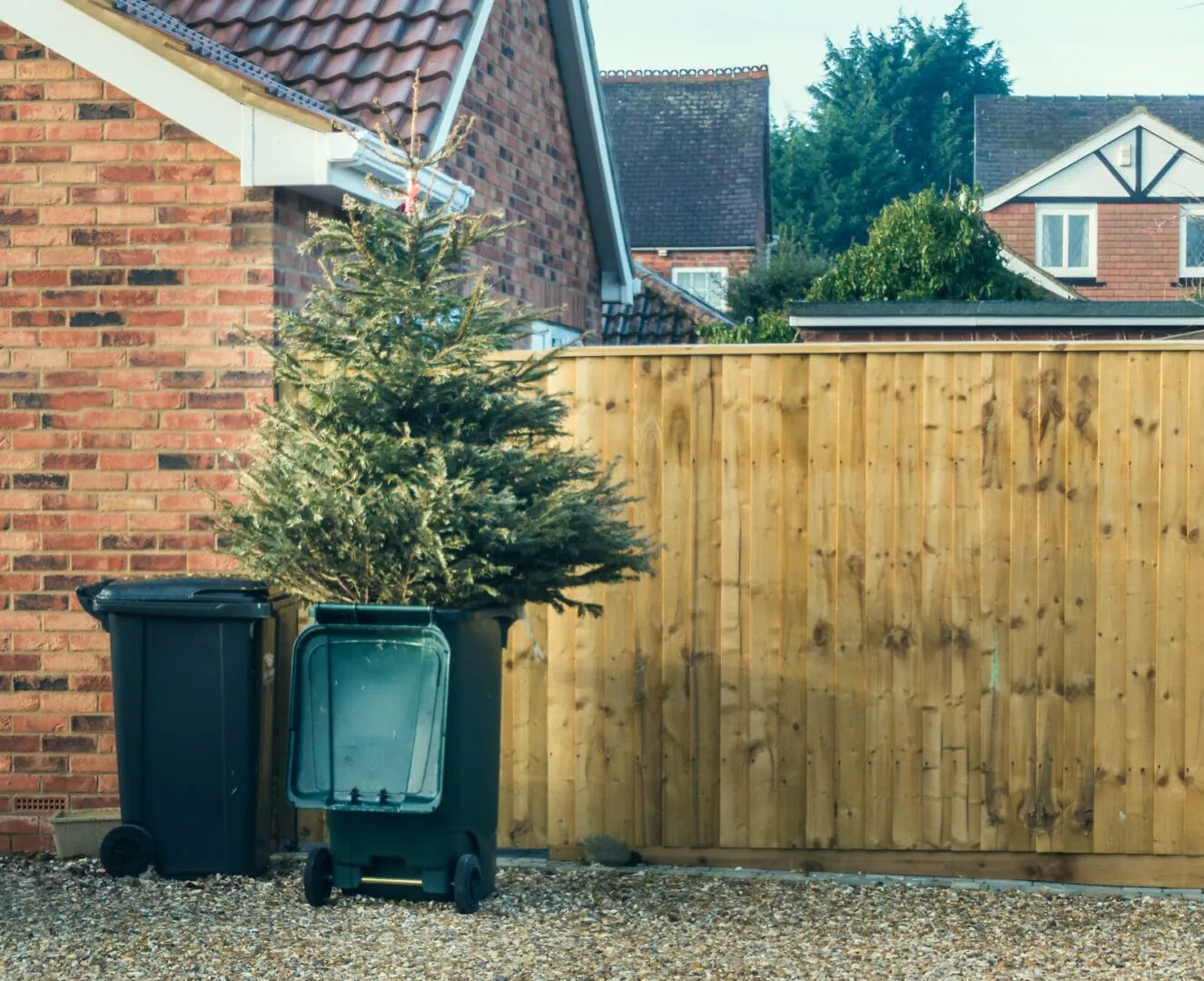 How to recycle your Christmas tree